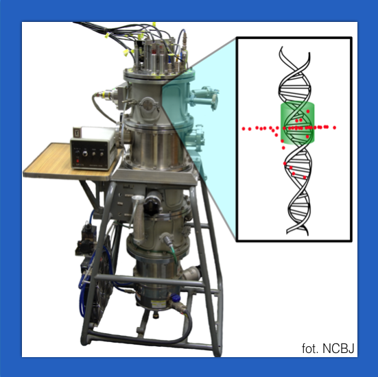 Nanodosimetry - particle track structure measurements at the DNA level